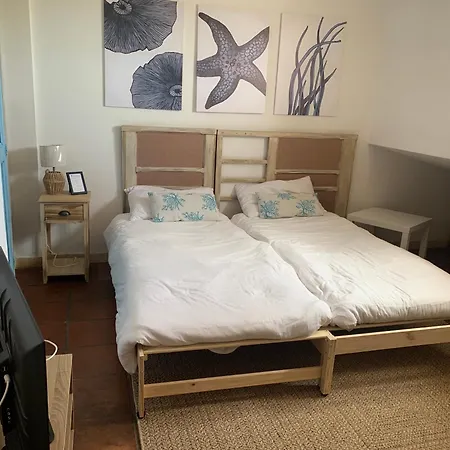 A 300 Mt Dalla Via Libeccio N 67 维拉西米乌斯